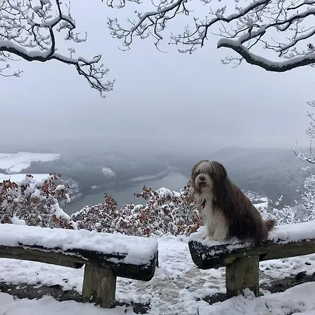 Haus Blick Am Edersee 4p